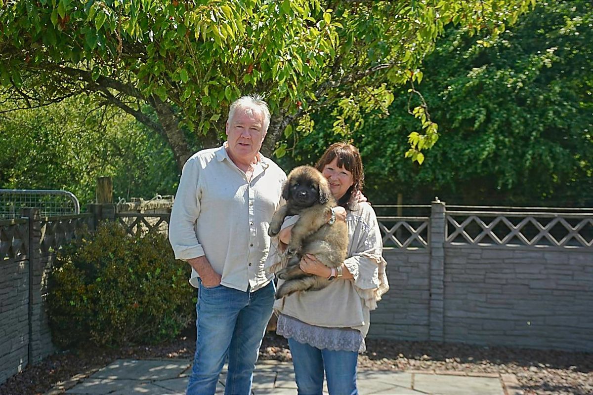 A couple holding a fluffy brown dog outdoors, near a fence and trees.