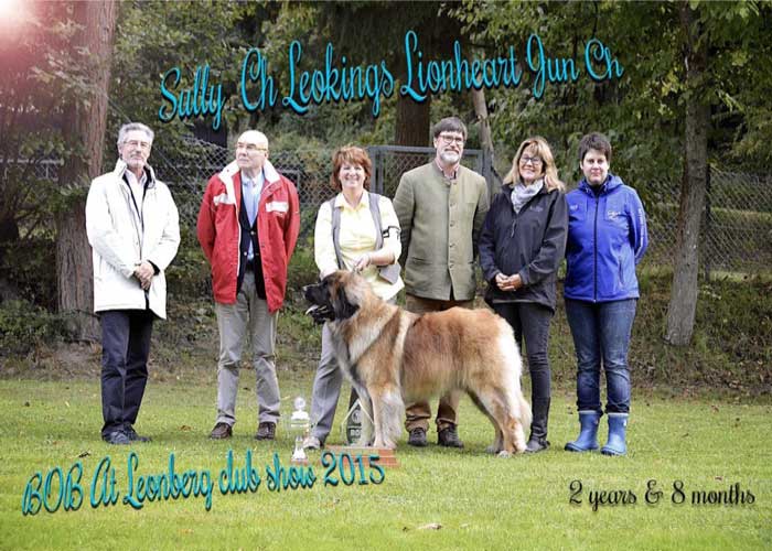 Group photo with a large brown dog and people at a dog show. Text indicates “BOB at Leonberg club show 2015”.