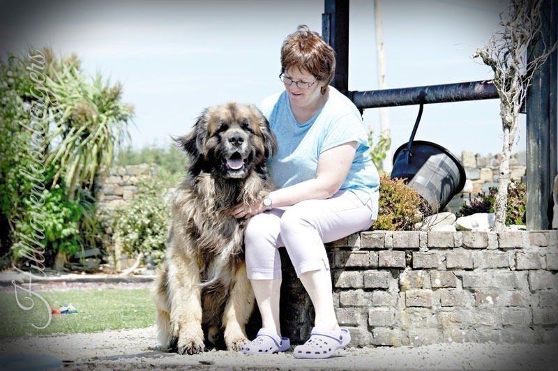 Woman sits with a large, fluffy dog outdoors near a brick structure. Dog is brown and black, both smiling.