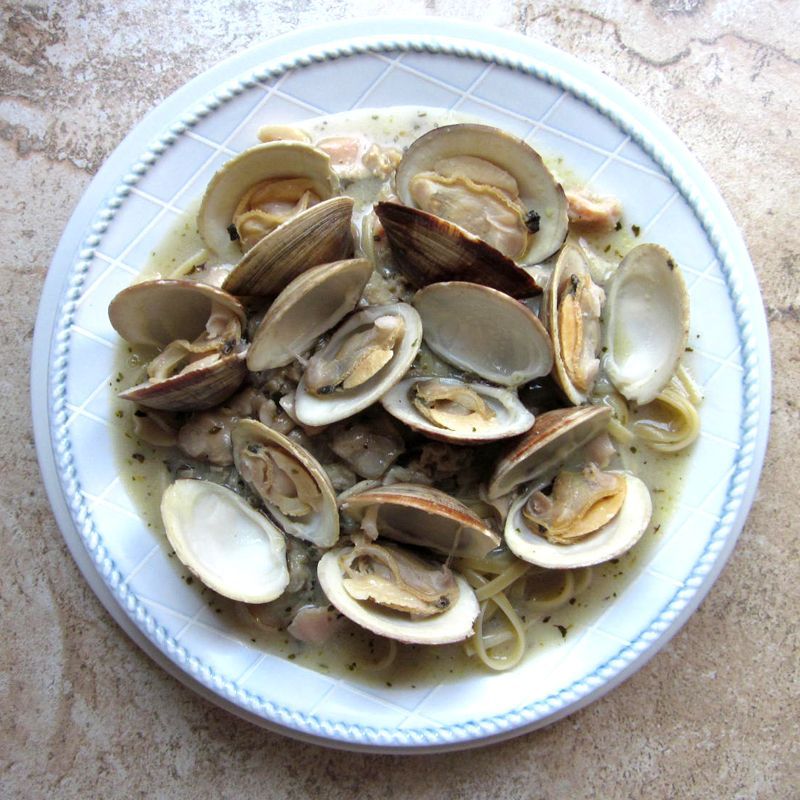 A white plate topped with clams and noodles