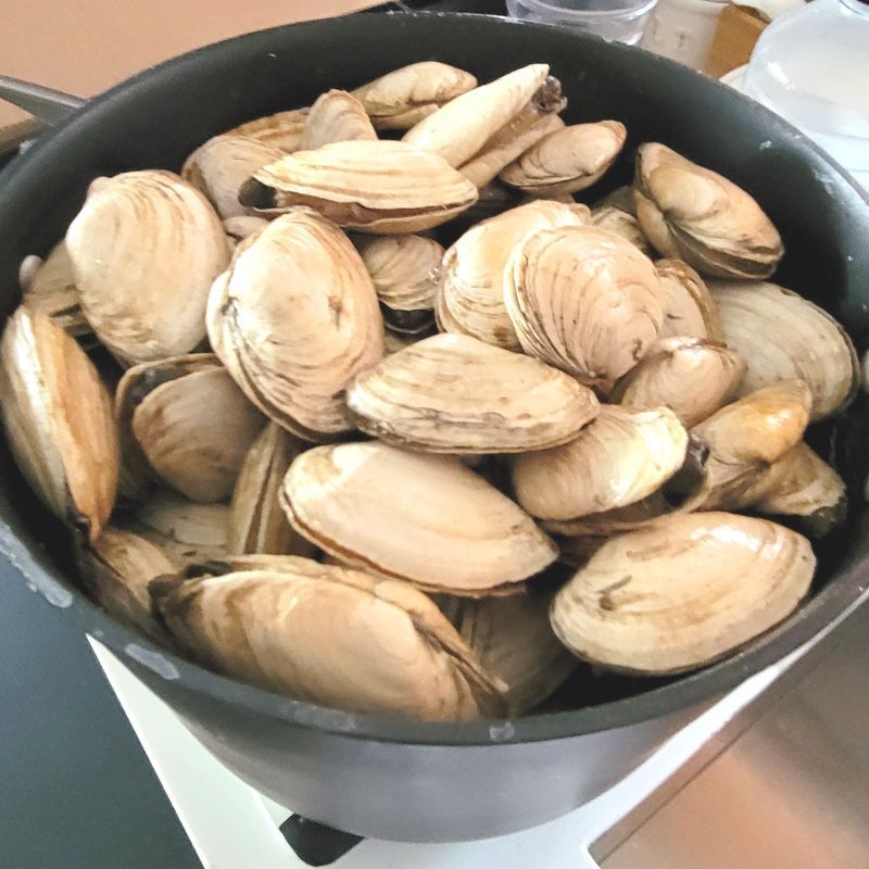 A pot of clams is sitting on a stove top