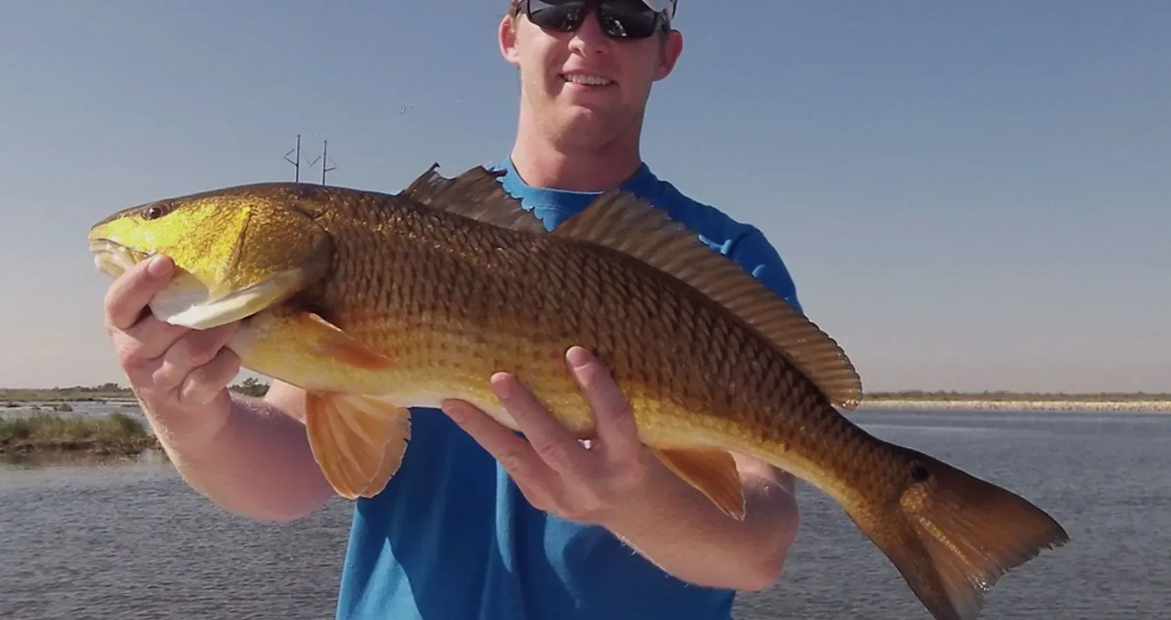 A man in a blue shirt is holding a large fish in his hands.