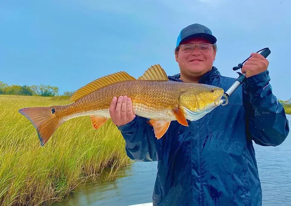 A man is holding a large redfish in his hands.