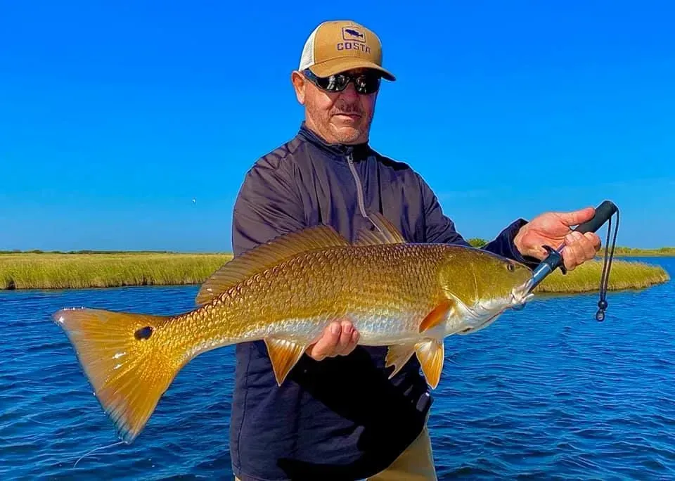 A man is holding a large fish in his hands in the water.