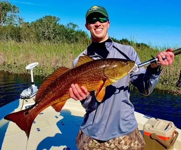 A man on a boat holding a large fish.