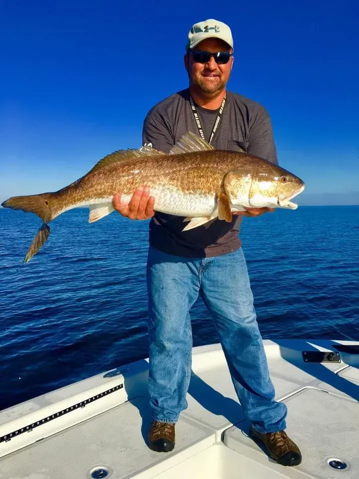 A man is standing on a boat holding a large fish.