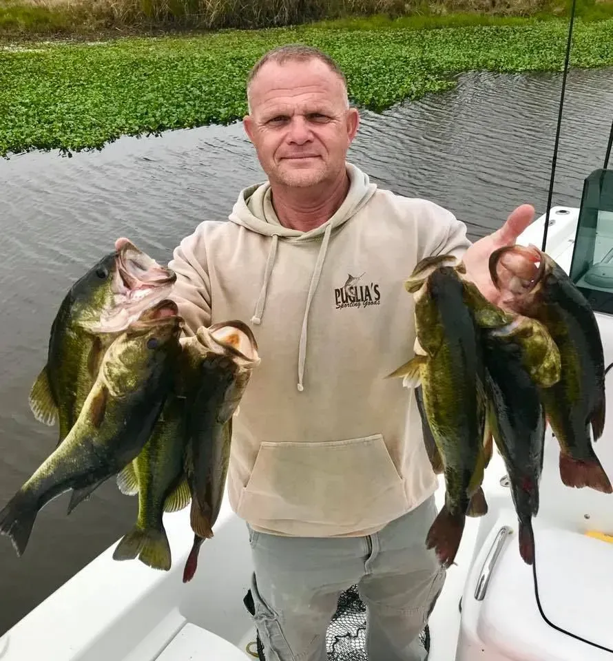 A man is holding a bunch of fish on a boat.