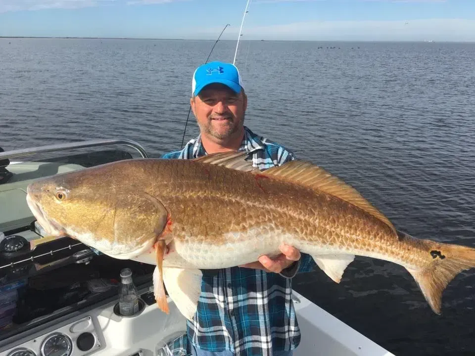 A man is holding a large fish on a boat in the water.