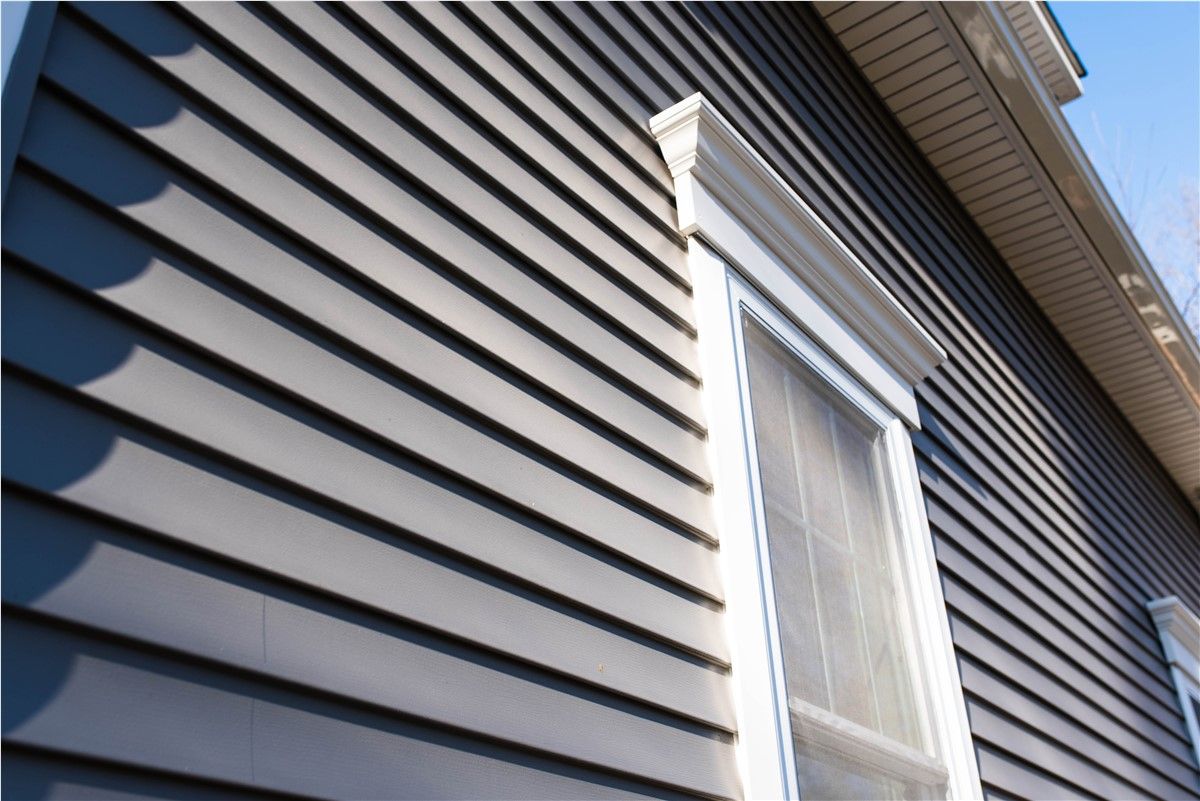 Gray siding on a house, with a white window frame and trim. The photo is taken from a low angle on a sunny day.