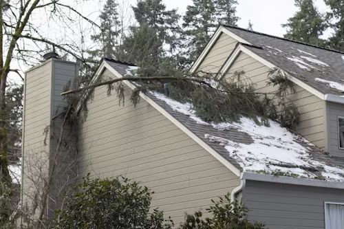 A house with a tree branch on its roof, covered in snow. It appears to have sustained damage, and a chimney is visible.