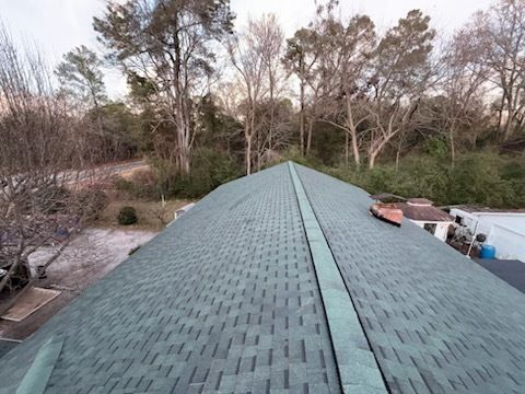 Green shingled roof with a dark center strip, trees in the background.