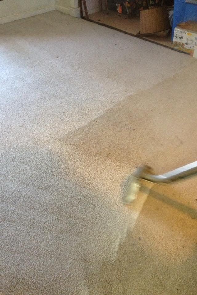 Home Carpet — Cordova, TN — Roto Clean