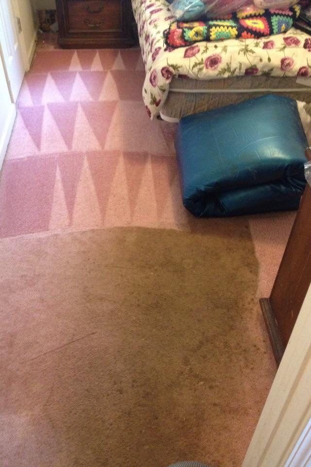 Pink Colored Carpet — Cordova, TN — Roto Clean