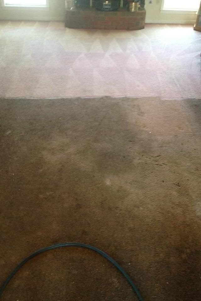 A Dirty Carpet — Cordova, TN — Roto Clean