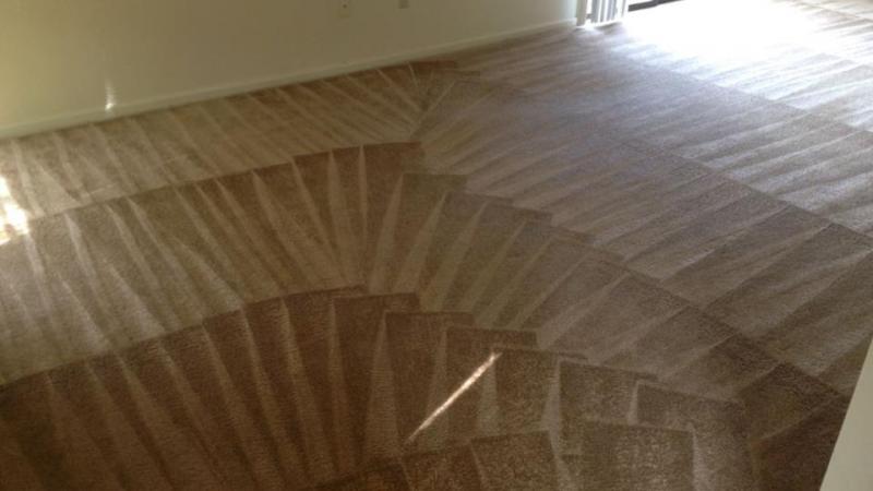 A Carpet Being Shampooed — Cordova, TN — Roto Clean