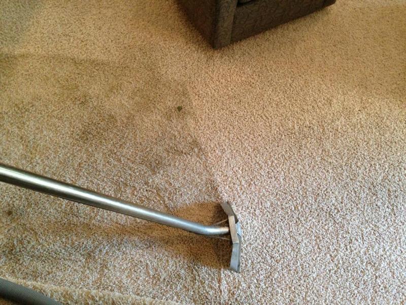 White Carpet Flooring — Cordova, TN — Roto Clean