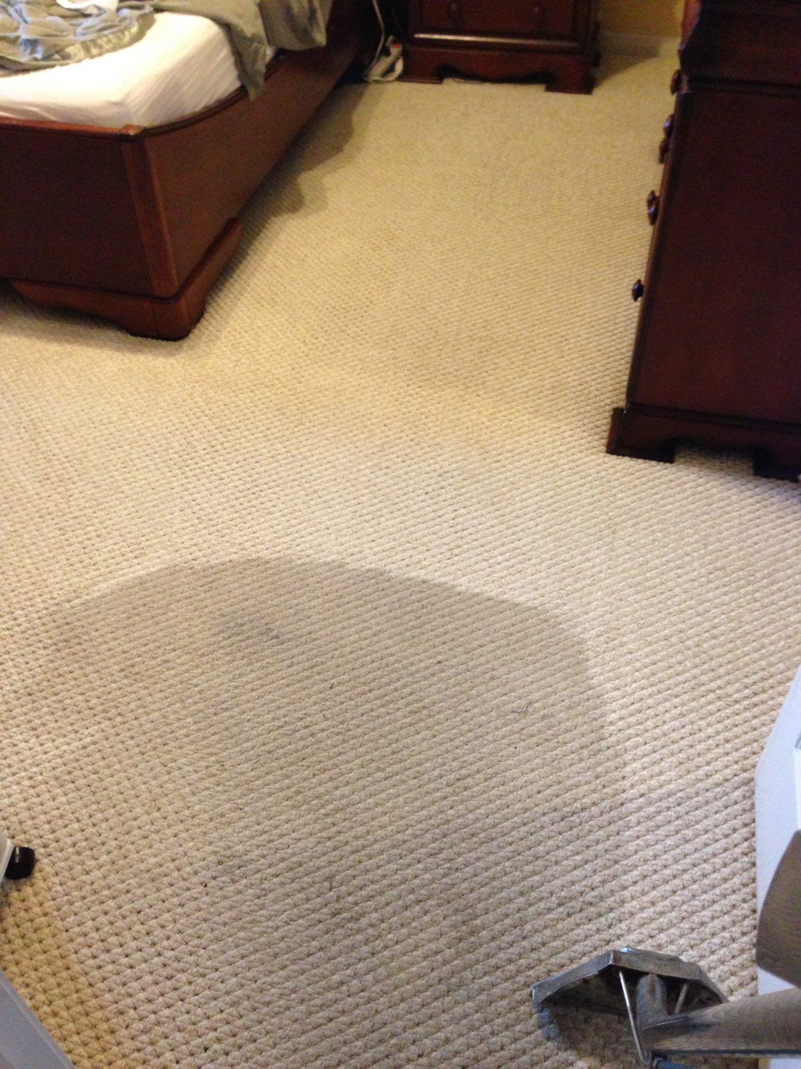 White Residential Carpet Flooring — Cordova, TN — Roto Clean