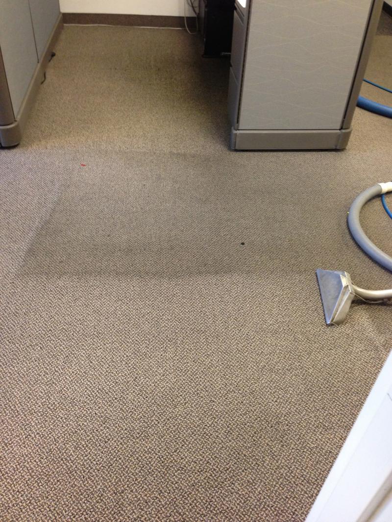 Commercial Carpet Cleaning l Cordova, TN l Roto Clean