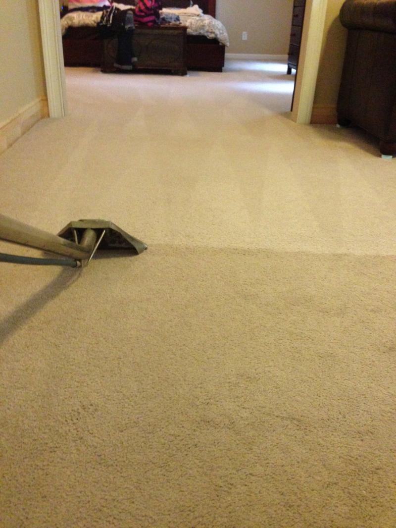 Living Room Carpet Flooring — Cordova, TN — Roto Clean