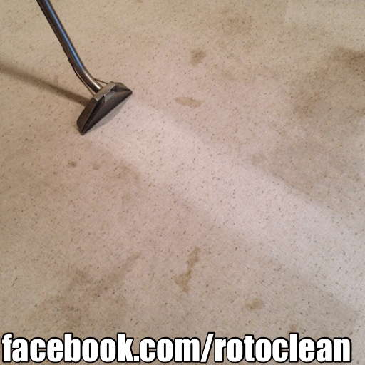 Carpet Flooring Being Power Scrubbed — Cordova, TN — Roto Clean