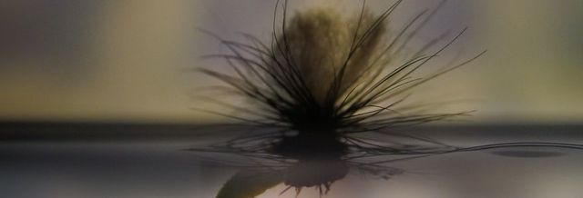 Murray's Klinkhammer Dry Fly, Murray's Fly Shop