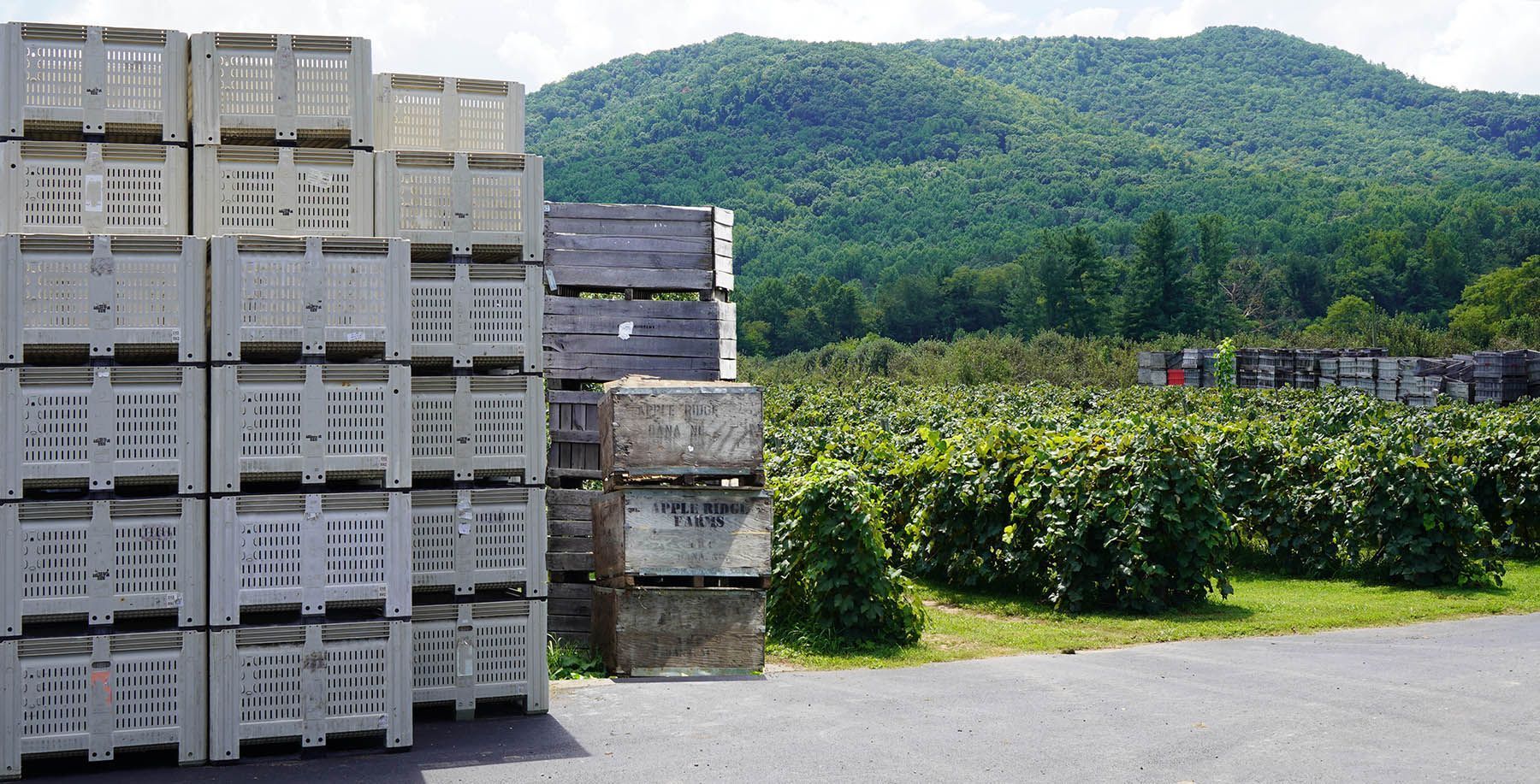 vented bulk bins and wooden crates