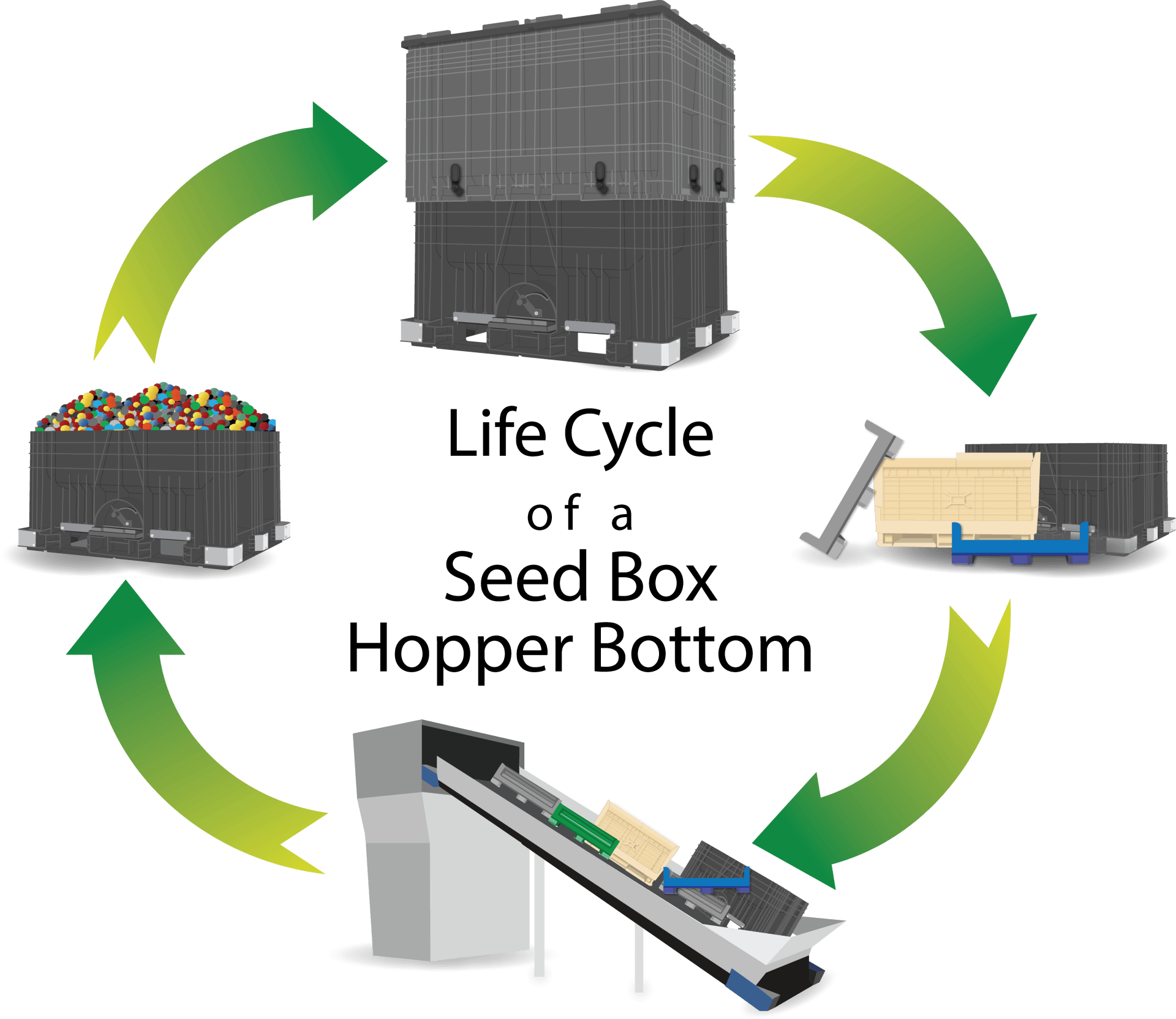 Seed Box life cycle