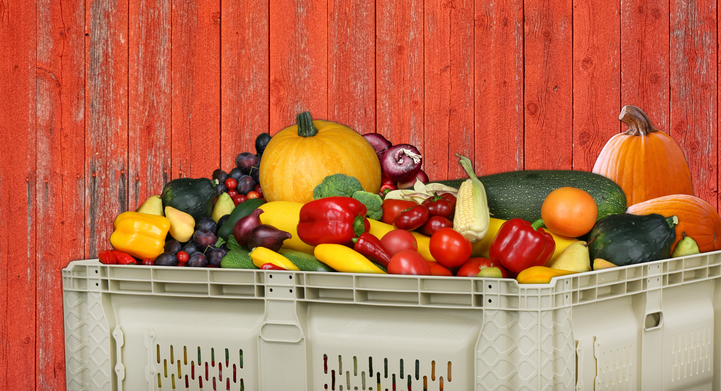 Agricultural Harvest Bin