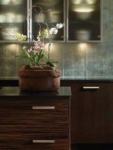 Flower Pot in Kitchen — Kitchen Designs in Johnstown, PA
