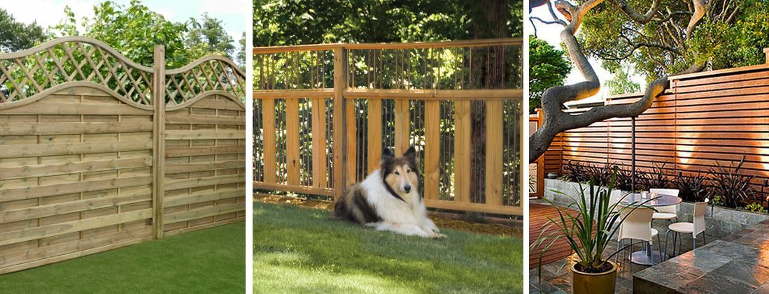 A dog is laying in the grass next to a wooden fence.