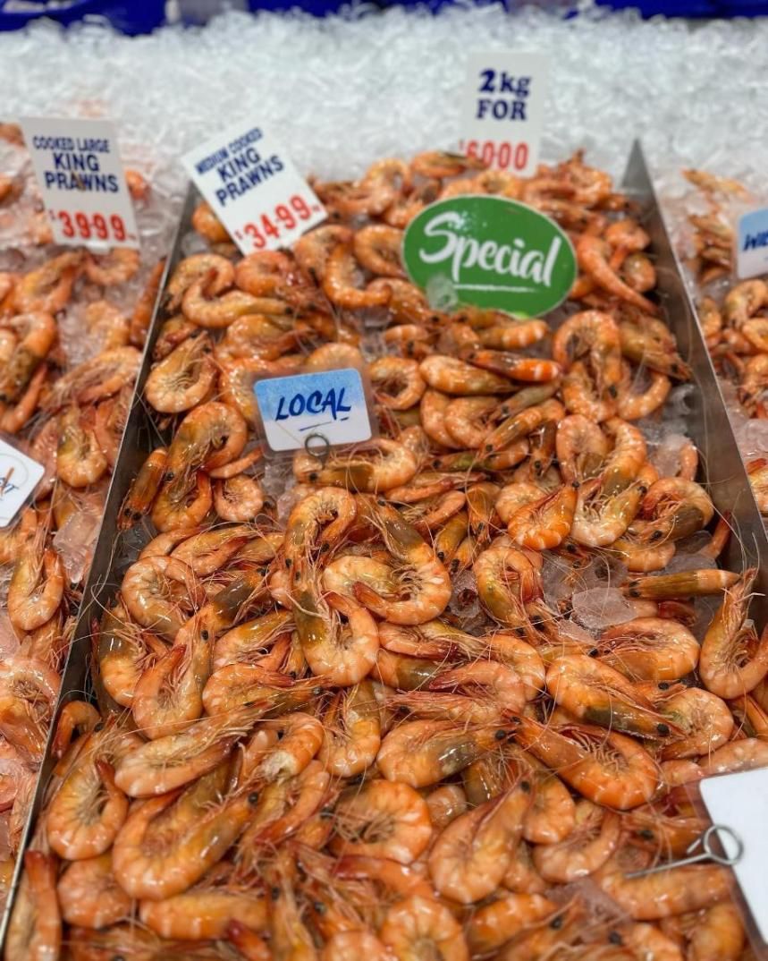 A Bunch Of Shrimp Are Sitting On Top Of Ice In A Tray — Northern Rivers Seafood In Ballina, NSW