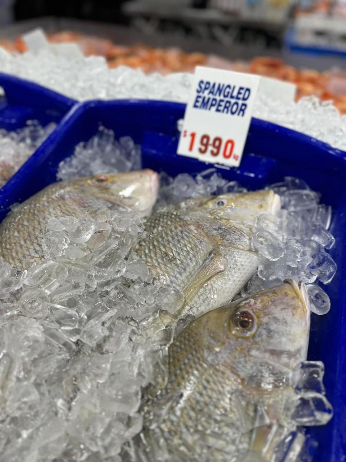 A Tray Of Fish With Ice And A Sign That Says Spangled Emperor — Northern Rivers Seafood In Ballina, NSW