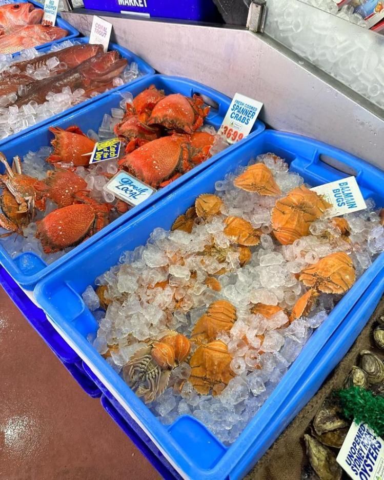 A Display Of Seafood Including Crabs And Shrimp On Ice — Northern Rivers Seafood In Ballina, NSW