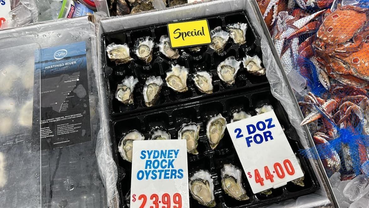 A Box Of Sydney Rock Oysters Is Sitting On Top Of Ice — Northern Rivers Seafood In Ballina, NSW