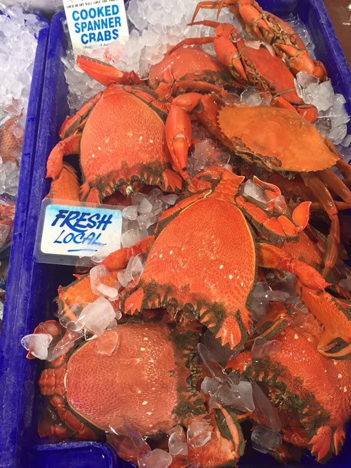 A Bunch Of Crabs Are Sitting On Top Of Each Other In A Blue Bucket — Northern Rivers Seafood In Ballina, NSW