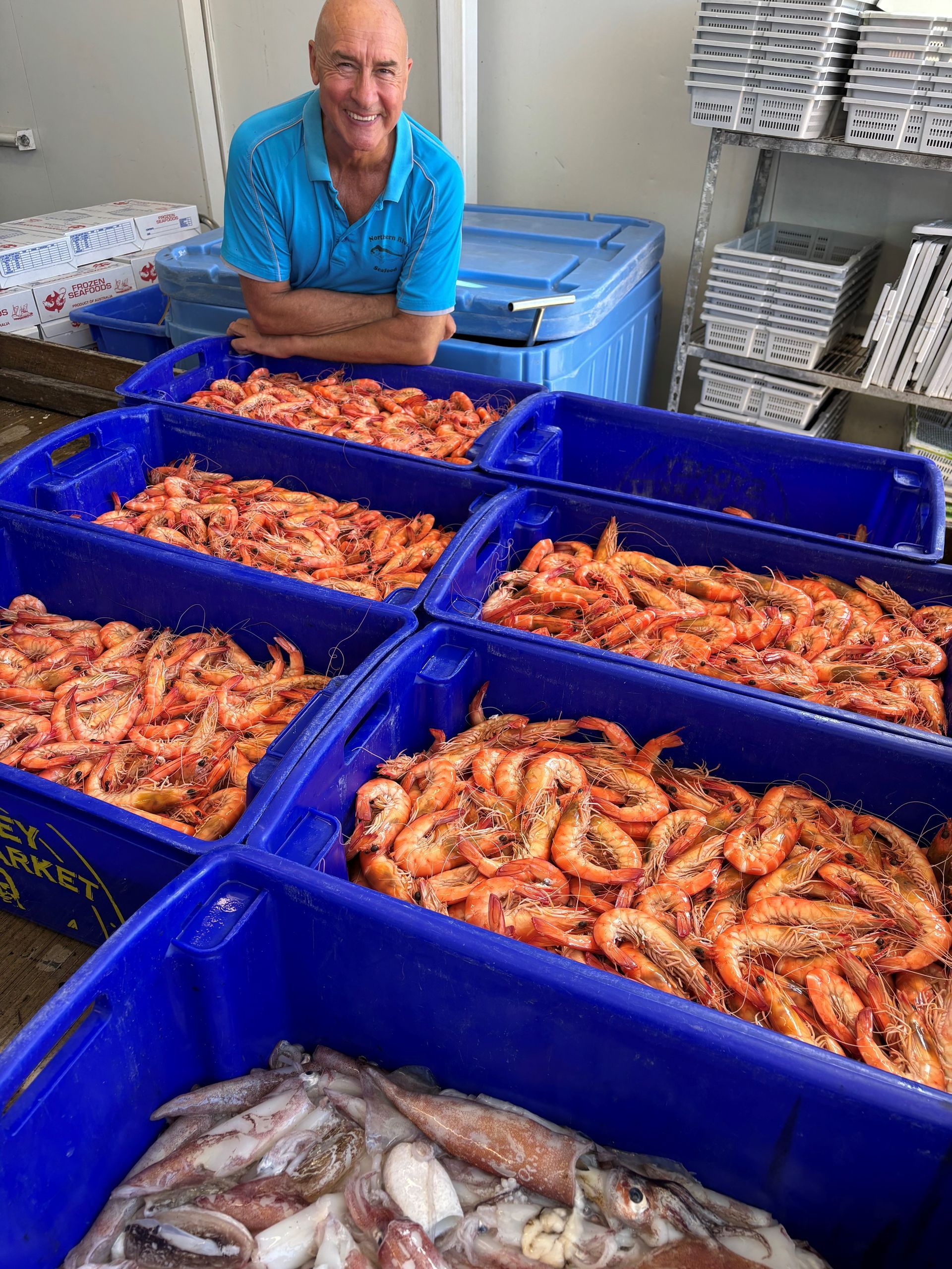 A Blue Bin Filled With Fish And Ice On A Boat — Northern Rivers Seafood In Ballina, NSW
