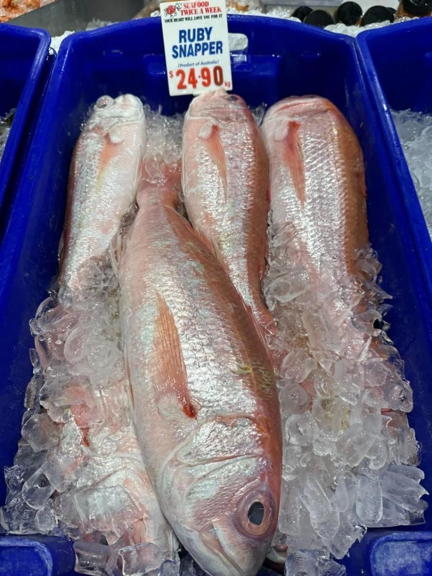 Three Ruby Snapper Are Sitting On Ice In A Blue Container — Northern Rivers Seafood In Ballina, NSW