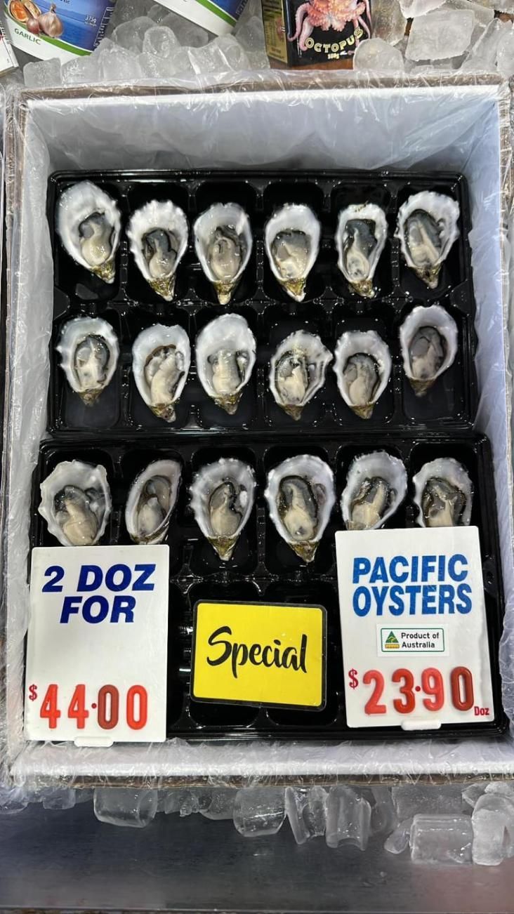 A Box Of Oysters Is Sitting On Top Of Ice — Northern Rivers Seafood In Ballina, NSW