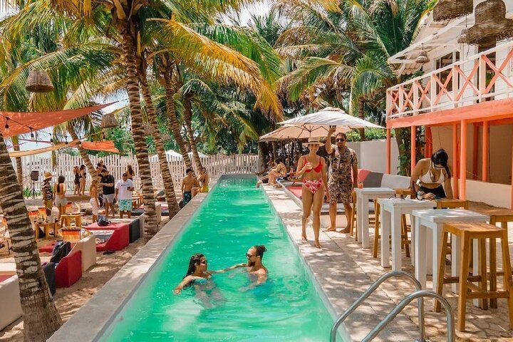 Gente en una piscina estrecha en un club de playa con palmeras y asientos en el bar. | Mevak Agency