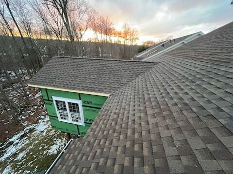 Brown shingled roof with a small, green-sided structure, set against a tree-lined horizon at dusk.