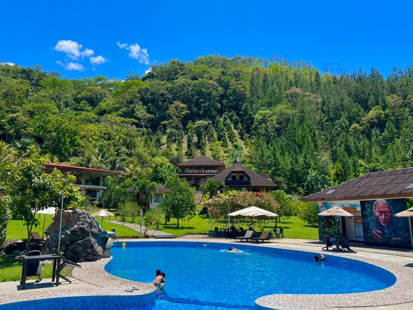 Piscina rodeada de árboles verdes, edificios y cielo azul. La gente nada y se relaja.
