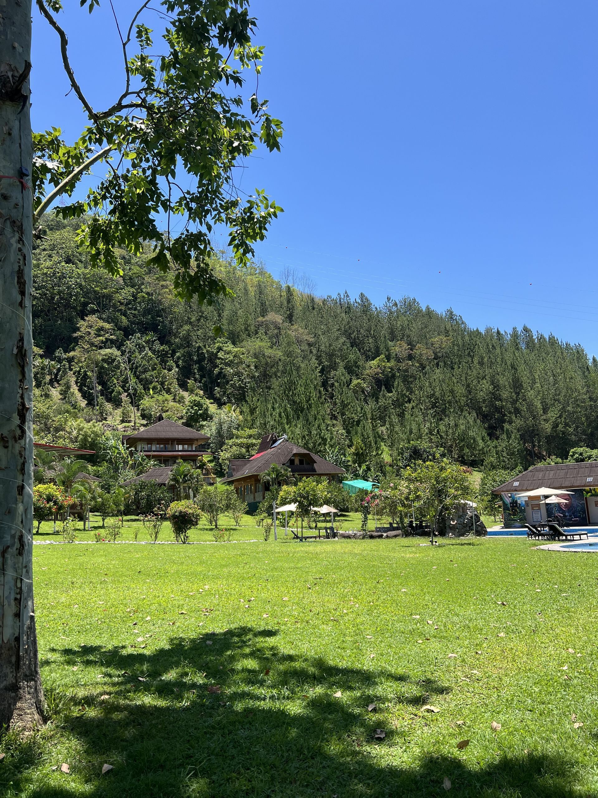 A person is riding a bike down a road.