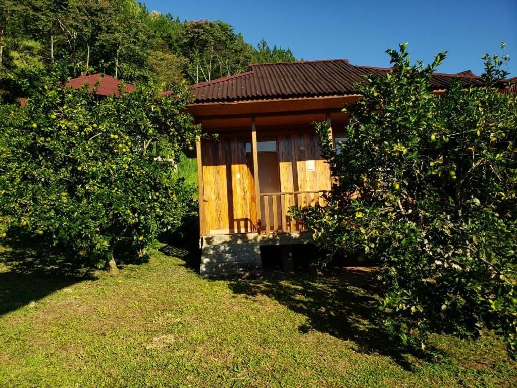 Una cabaña de madera con techo oscuro, ubicada en un patio cubierto de hierba y rodeada de frondosos árboles cítricos.
