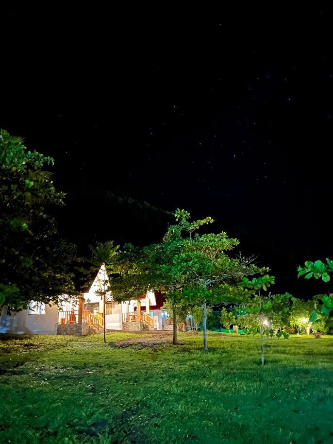 Una casa luminosa y resplandeciente, con techo triangular, se alza tras los árboles en un campo cubierto de hierba.