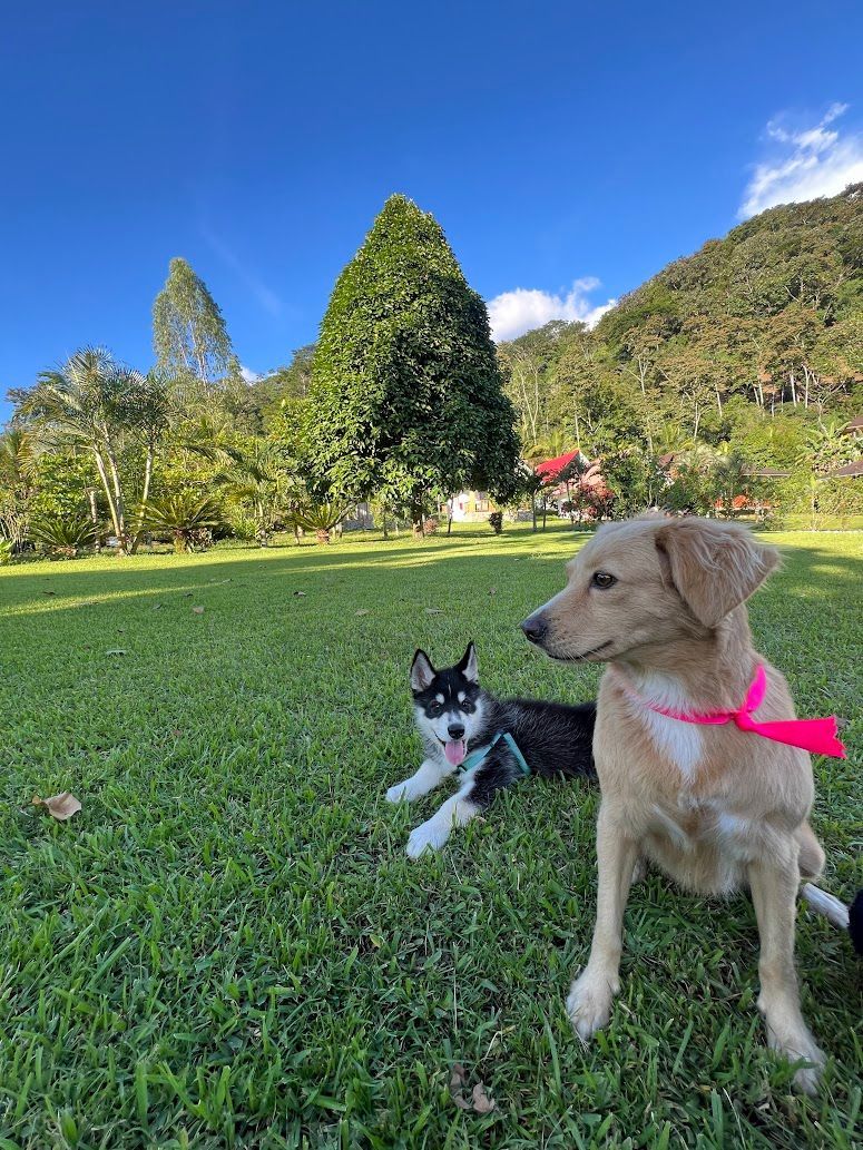 A man is standing on top of a hill looking at the sunset.