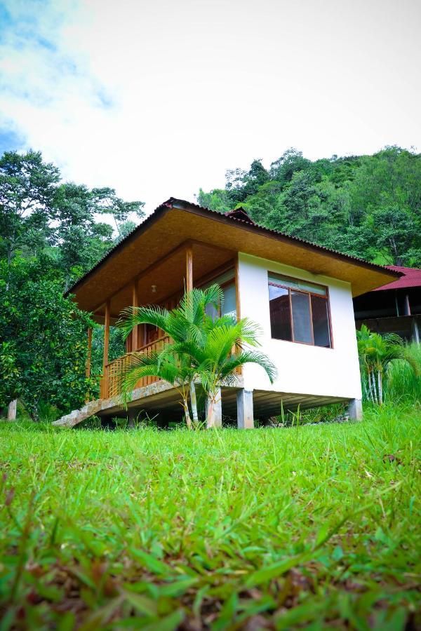 Una pequeña cabaña blanca elevada, con porche y techo de madera, situada en una colina cubierta de hierba.