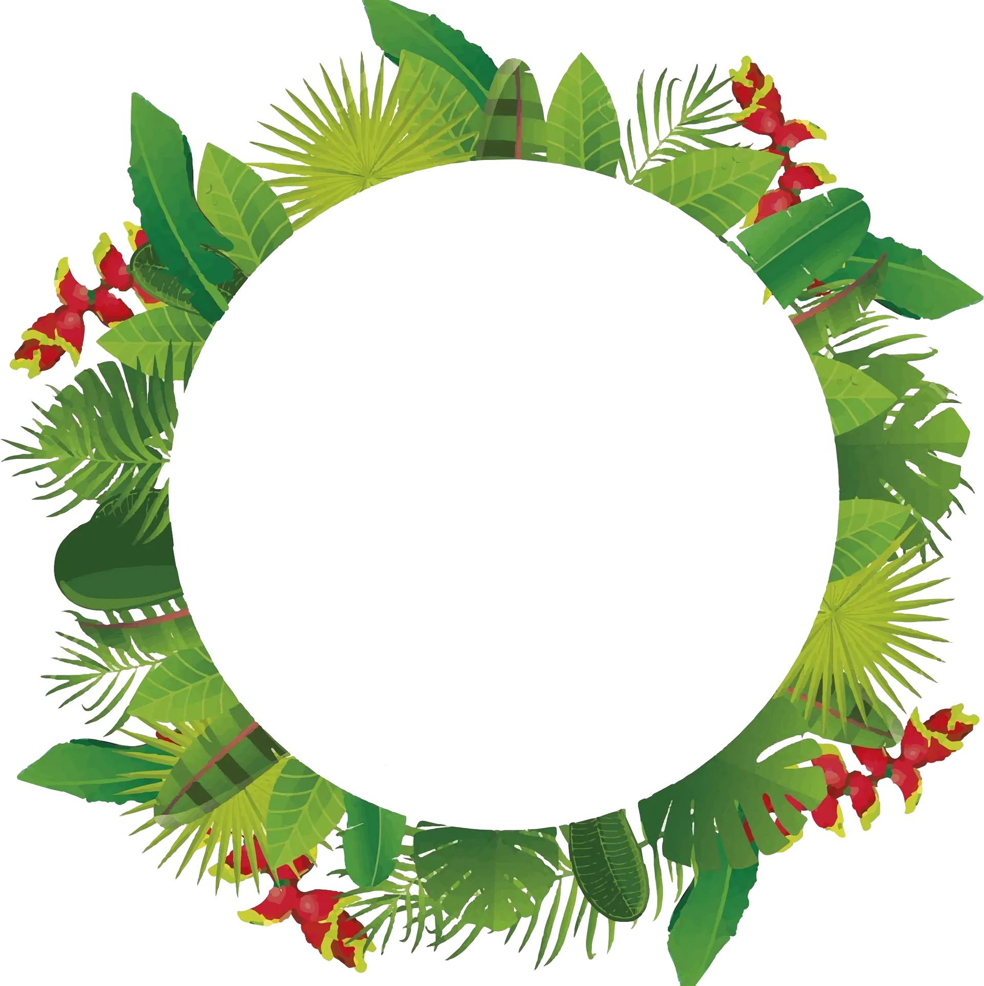 Imagen blanca en blanco.