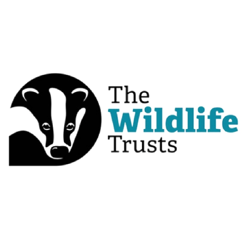 Logo of The Wildlife Trusts: a badger in a black circle, text 