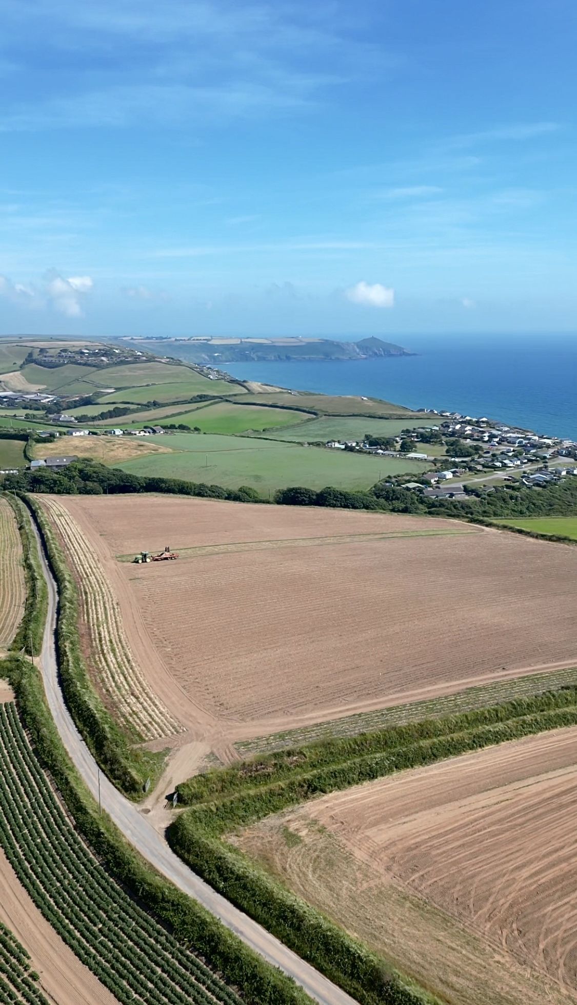 Dog near a lantern and chair at night.
