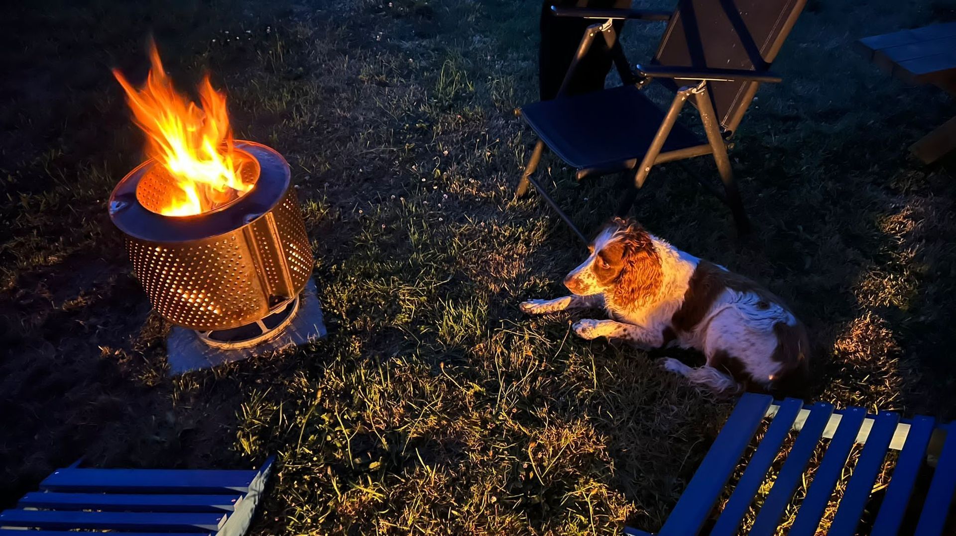 Fire pit with burning flames, dog laying nearby, surrounded by chairs on a grassy area.